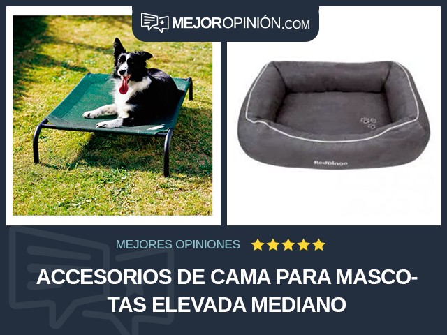 Accesorios de cama para mascotas Elevada Mediano
