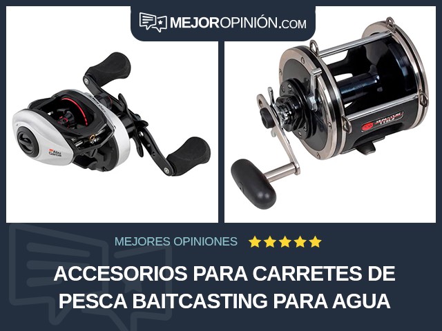 Accesorios para carretes de pesca Baitcasting Para agua salada