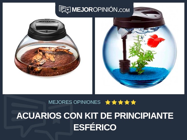 Acuarios Con kit de principiante Esférico