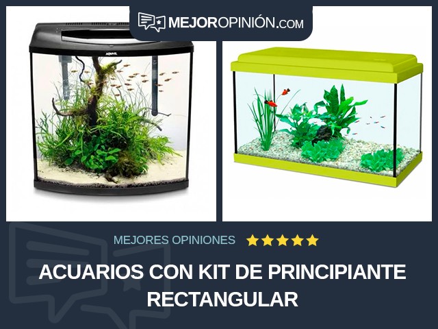 Acuarios Con kit de principiante Rectangular