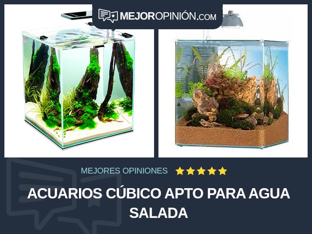 Acuarios Cúbico Apto para agua salada