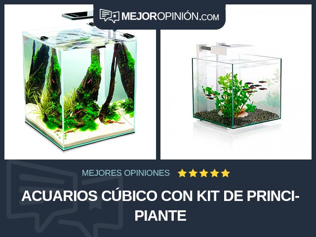 Acuarios Cúbico Con kit de principiante