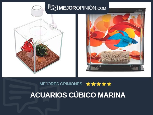 Acuarios Cúbico Marina