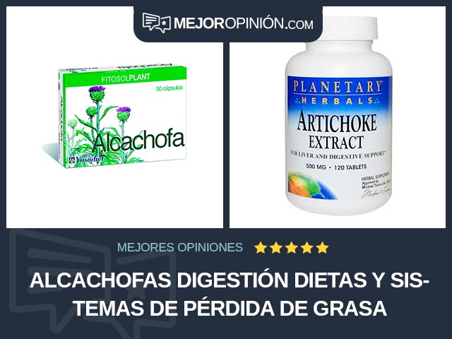 Alcachofas Digestión Dietas y sistemas de pérdida de grasa