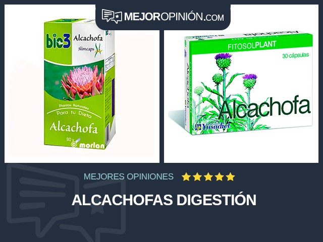 Alcachofas Digestión