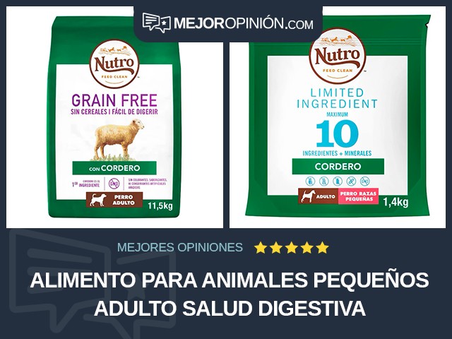 Alimento para animales pequeños Adulto Salud digestiva