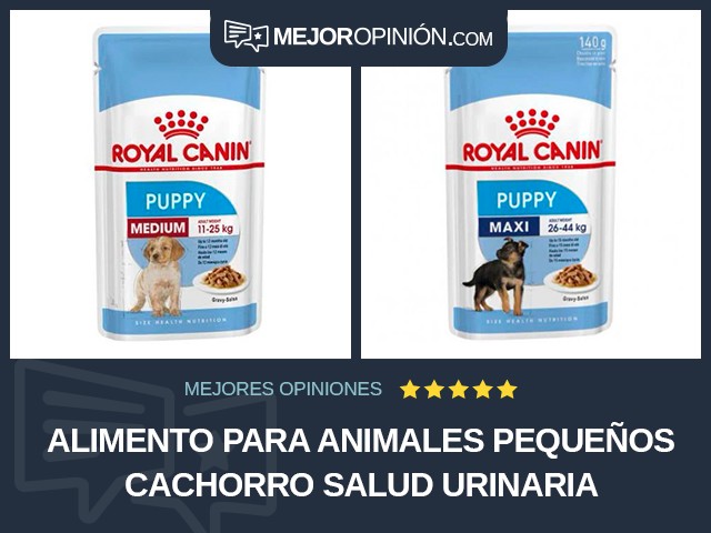 Alimento para animales pequeños Cachorro Salud urinaria