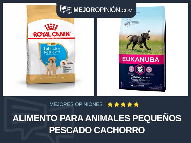 Alimento para animales pequeños Pescado Cachorro