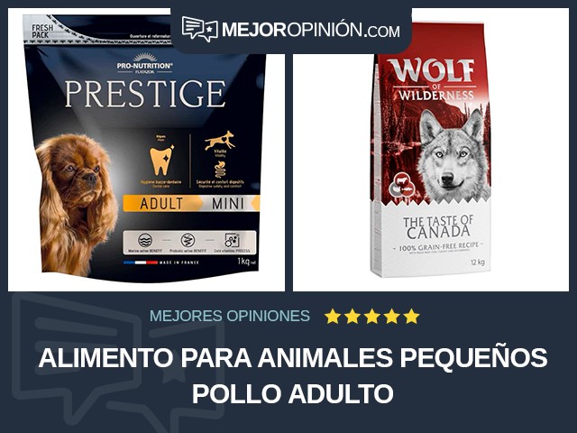 Alimento para animales pequeños Pollo Adulto