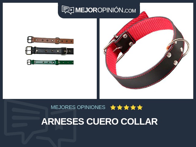 Arneses Cuero Collar