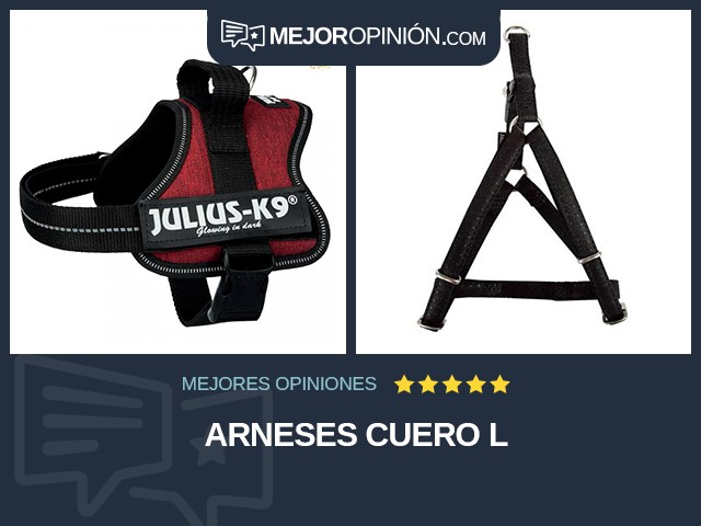 Arneses Cuero L