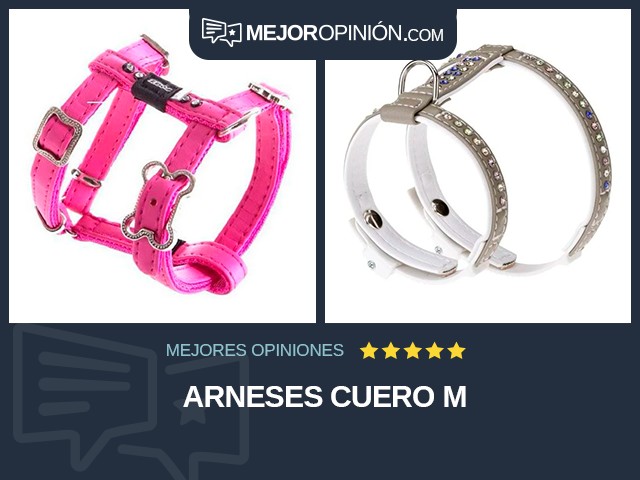 Arneses Cuero M