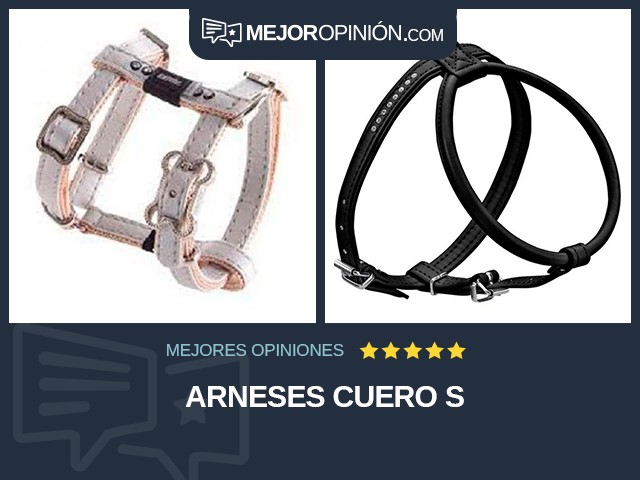 Arneses Cuero S