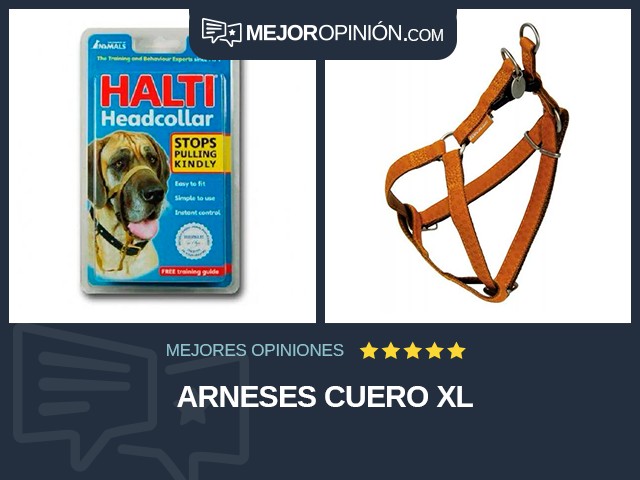 Arneses Cuero XL