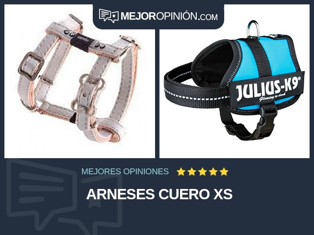 Arneses Cuero XS