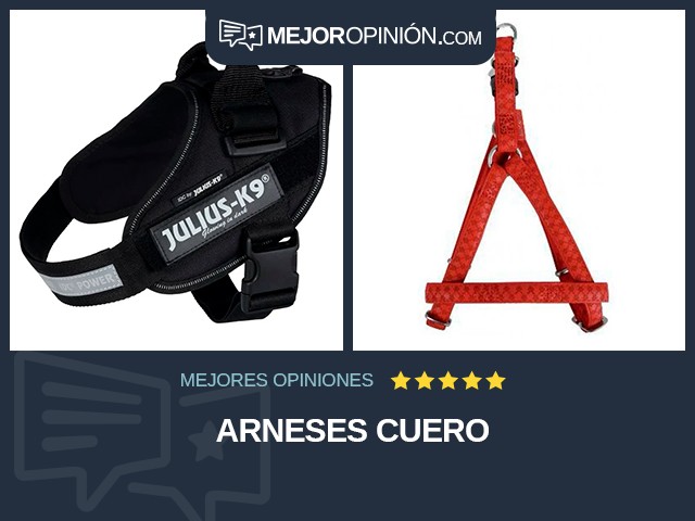 Arneses Cuero