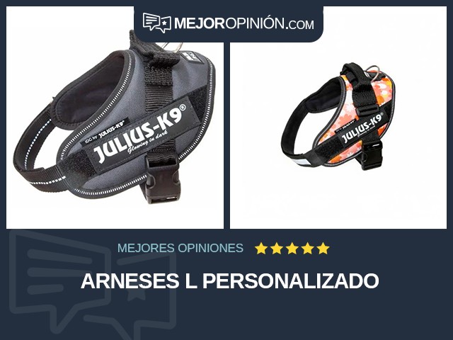 Arneses L Personalizado