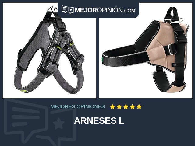 Arneses L