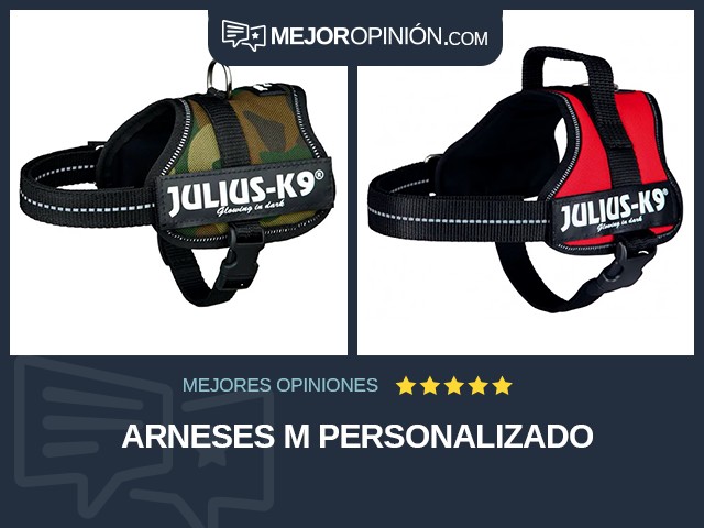 Arneses M Personalizado