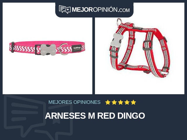 Arneses M Red Dingo