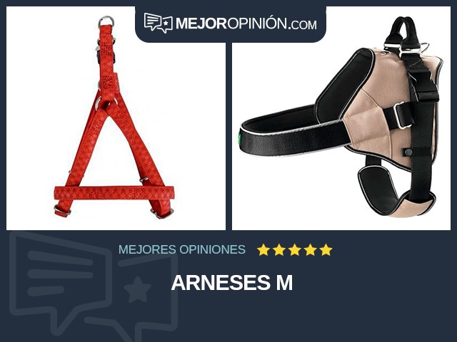 Arneses M