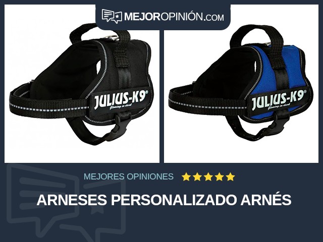 Arneses Personalizado Arnés