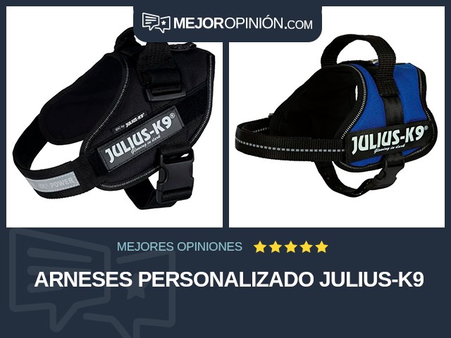 Arneses Personalizado Julius-K9
