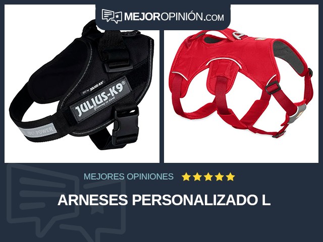 Arneses Personalizado L