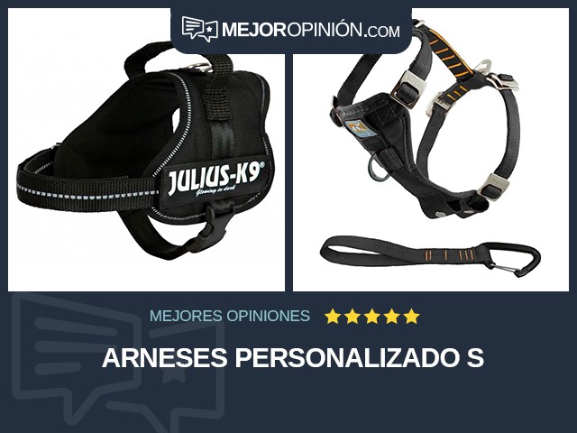 Arneses Personalizado S