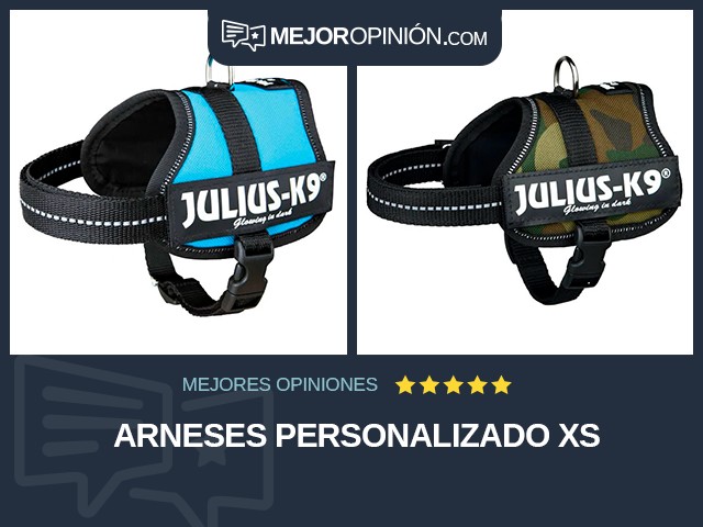 Arneses Personalizado XS