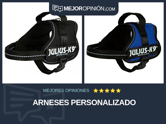 Arneses Personalizado