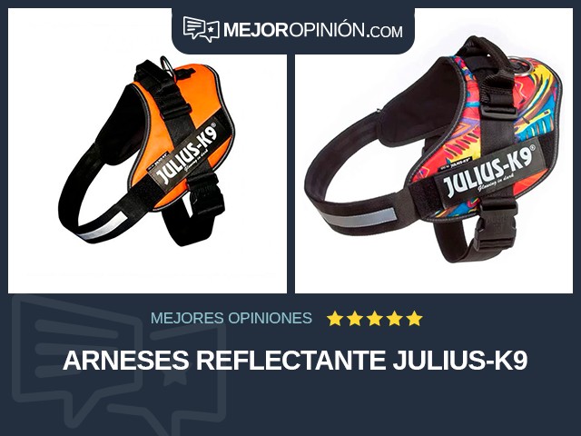 Arneses Reflectante Julius-K9