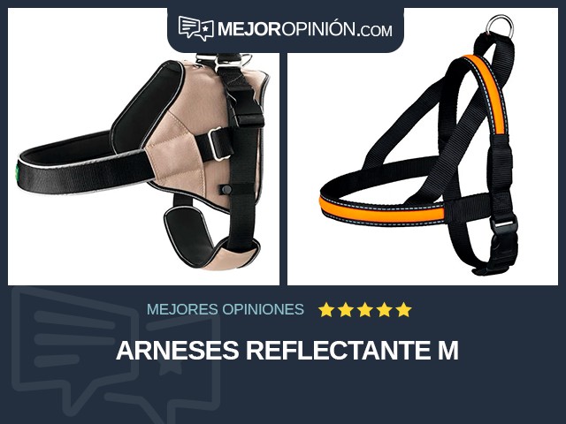 Arneses Reflectante M