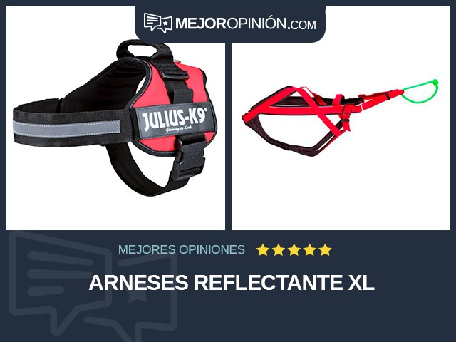 Arneses Reflectante XL