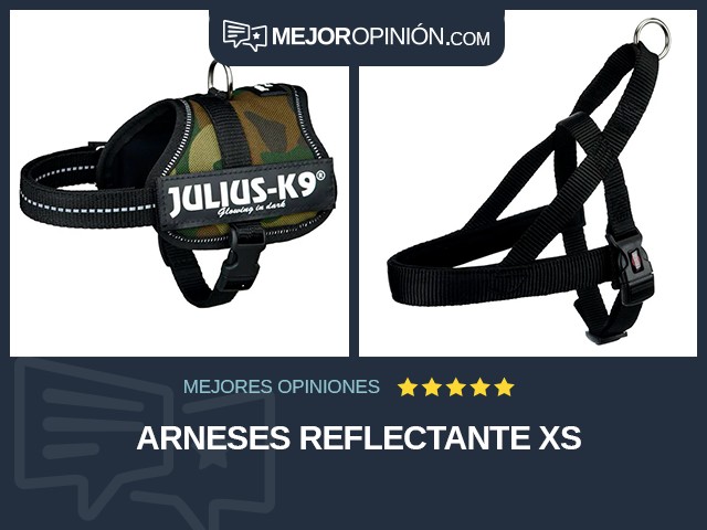 Arneses Reflectante XS