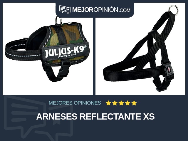 Arneses Reflectante XS