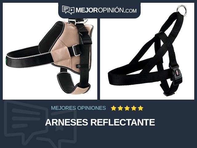 Arneses Reflectante