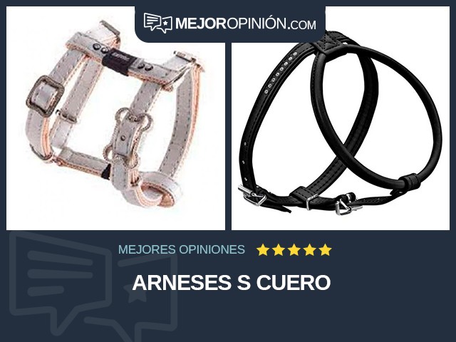 Arneses S Cuero