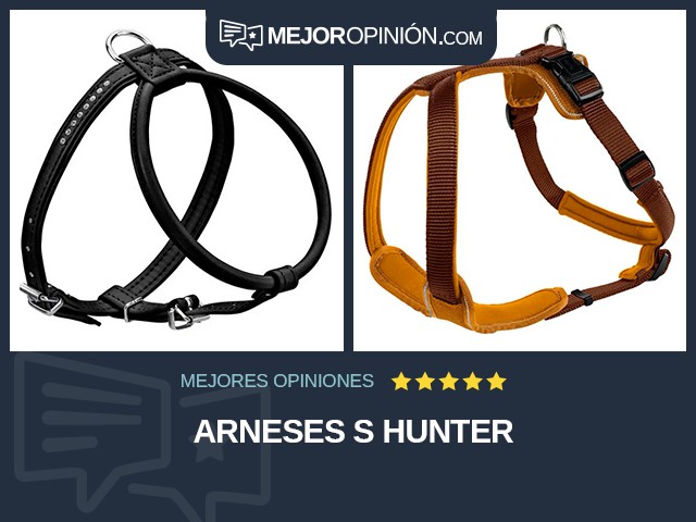 Arneses S HUNTER