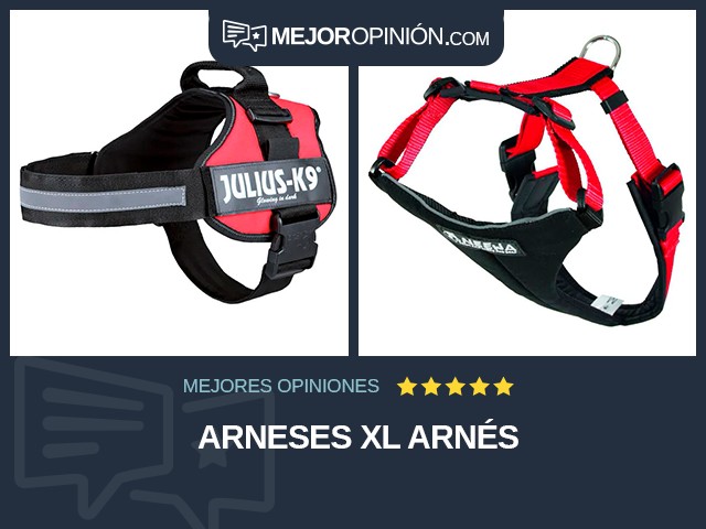 Arneses XL Arnés