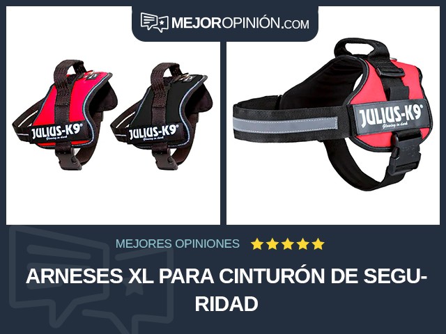 Arneses XL Para cinturón de seguridad