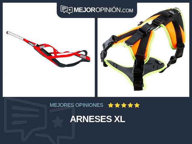 Arneses XL