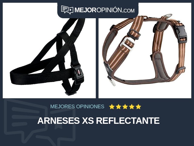 Arneses XS Reflectante