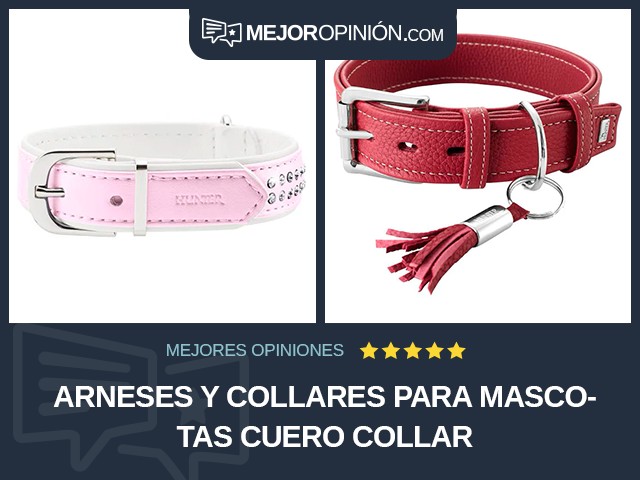 Arneses y collares para mascotas Cuero Collar