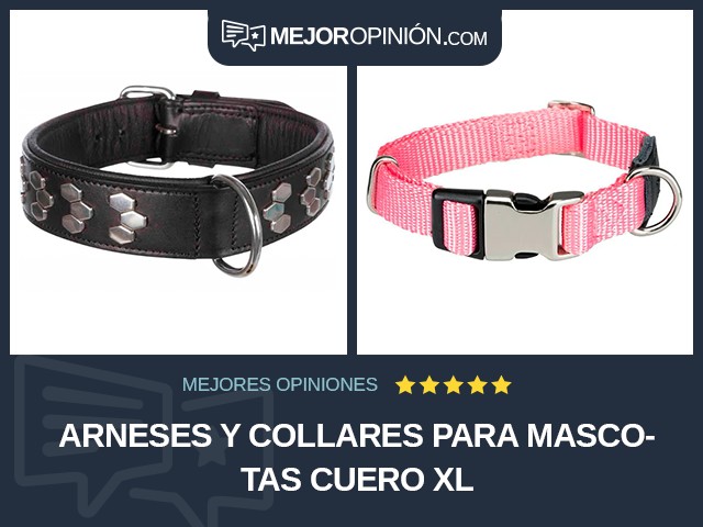 Arneses y collares para mascotas Cuero XL