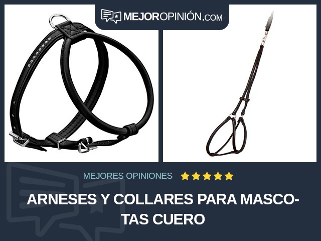 Arneses y collares para mascotas Cuero