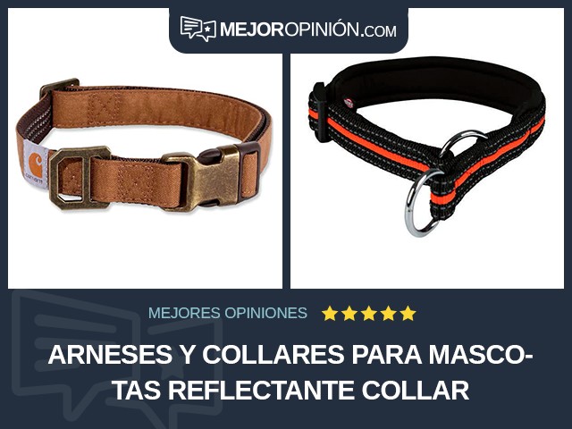 Arneses y collares para mascotas Reflectante Collar