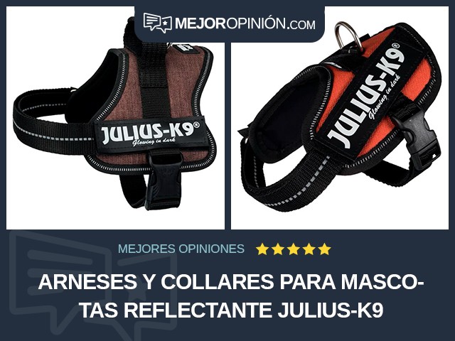 Arneses y collares para mascotas Reflectante Julius-K9