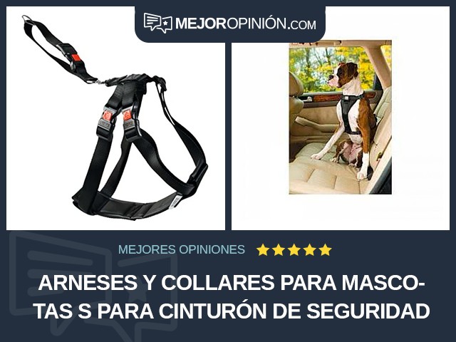 Arneses y collares para mascotas S Para cinturón de seguridad