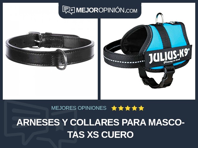 Arneses y collares para mascotas XS Cuero